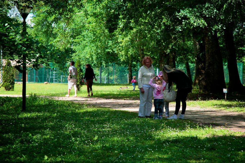 Domaine Du Roi Kysmar Hotel Villandraut Екстериор снимка